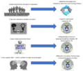 HUBCAP Directions.png